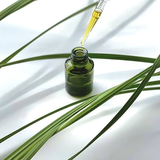 Vetiver oil in perfumery