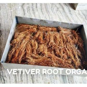 Vetiver Organic Roots - Khusplaza