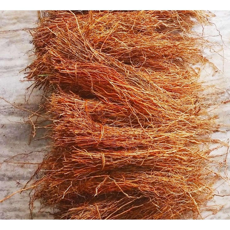 Vetiver Organic Roots - Khusplaza